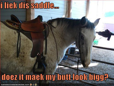 butt too big, saddle make my butt look too big 