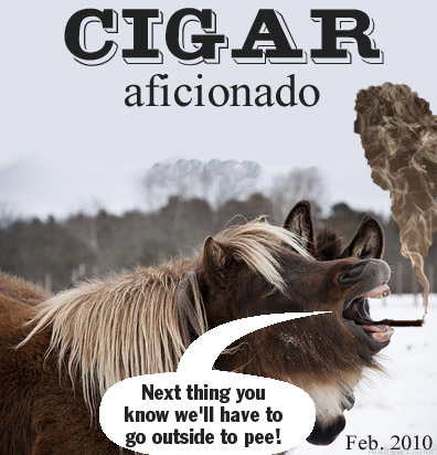 lolhorse cigar aficionado