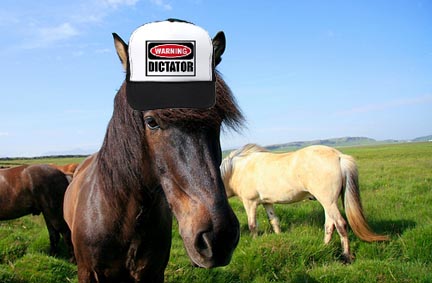 funny horses. Funny horse hat