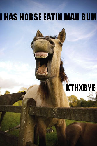 lolhorse, funny horse picture, I has horse eatin mah Bum