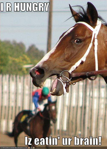 funny racehorse photo, horseracing humor, lolhorse photo
