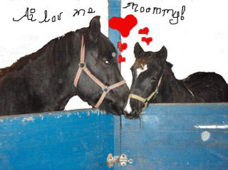 horse mothers day photo, lolhorse, funny horse picture in stall