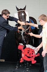 Drink before racing