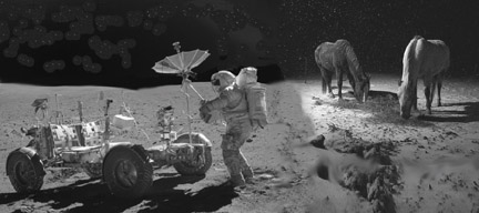 lolhorses on moon