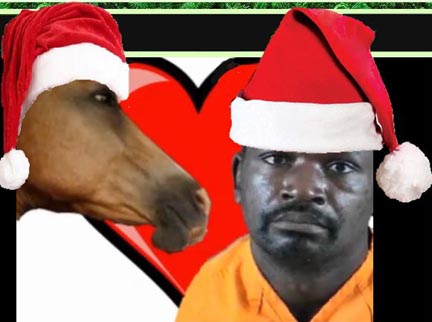 Tags: christmas lolhorse, funny horse video, lolhorse video